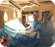 transplant surgeons