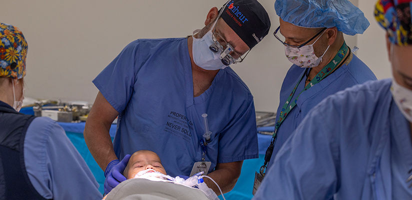 Craniofacial_2026.jpg
