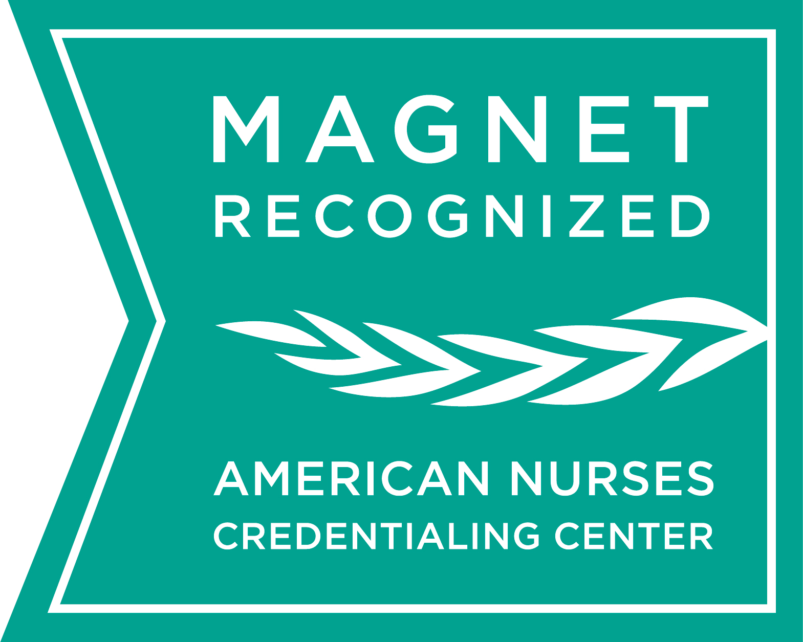 Magnet Recognized Award