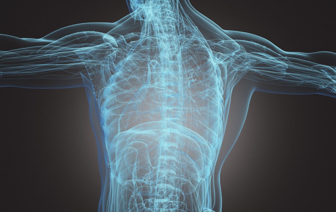 Back, Neck & Spine